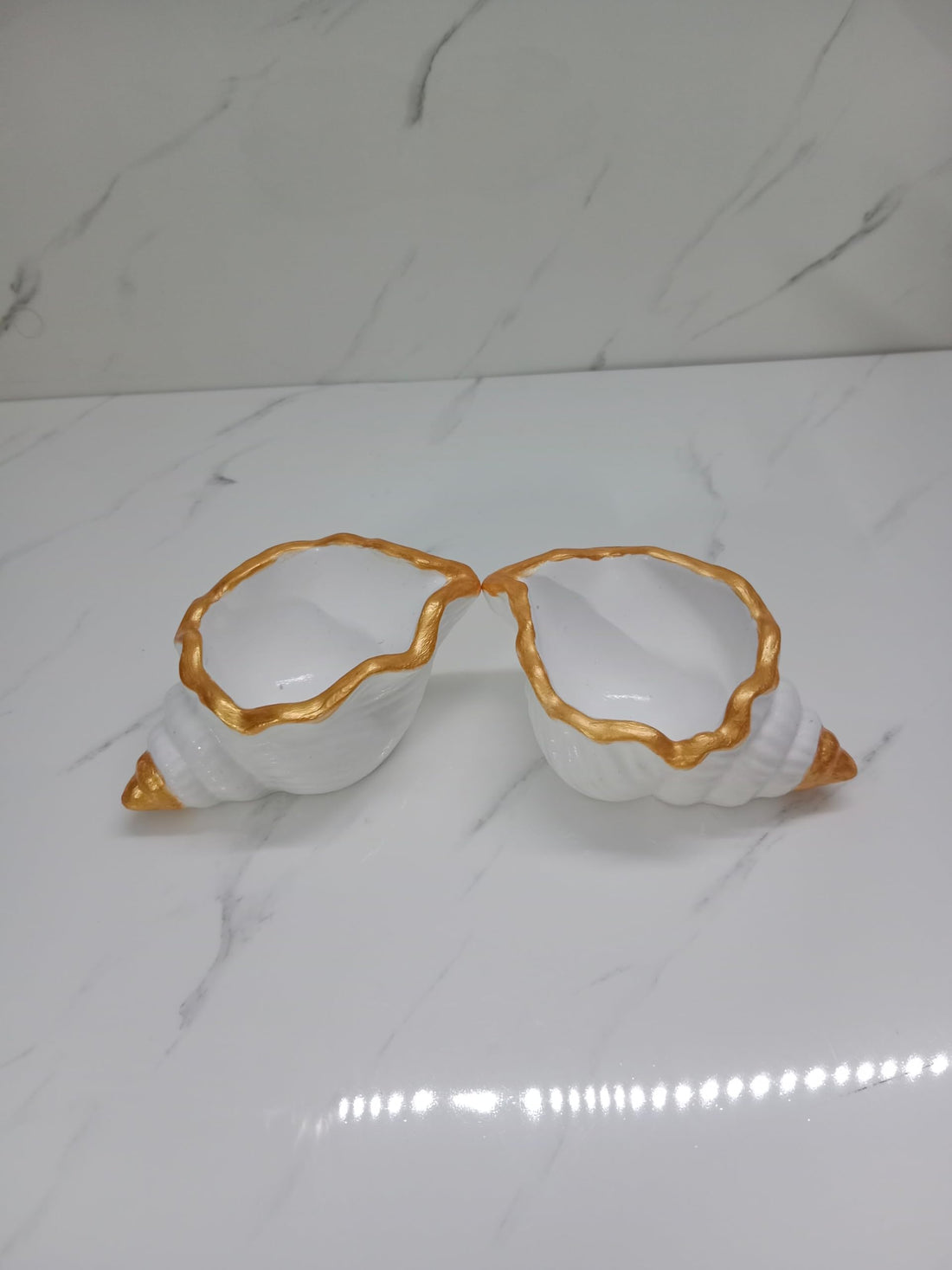 GALLERY DOAA Publication Gallery Concrete Wax 30g Cochlear Shape (White in Dahby, Empty Without Wax)