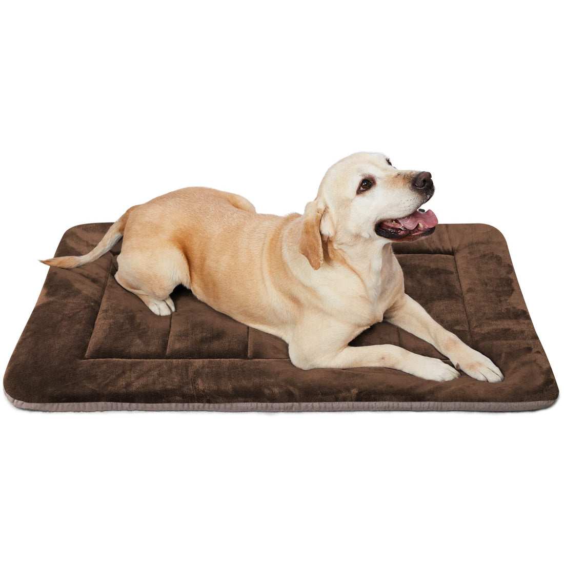 Hero Dog Beds for Medium s Crate Bed Mat 36 in Soft Kennel Pads Washable Non Slip Mattress Pet Beds Cushion for Pets Sleeping Mats