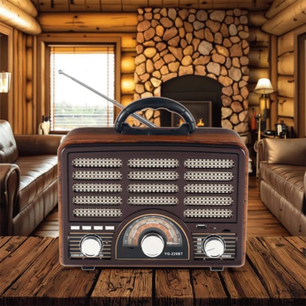 D E N X DX2443 HiFi Radio Bluetooth FM Radio USB