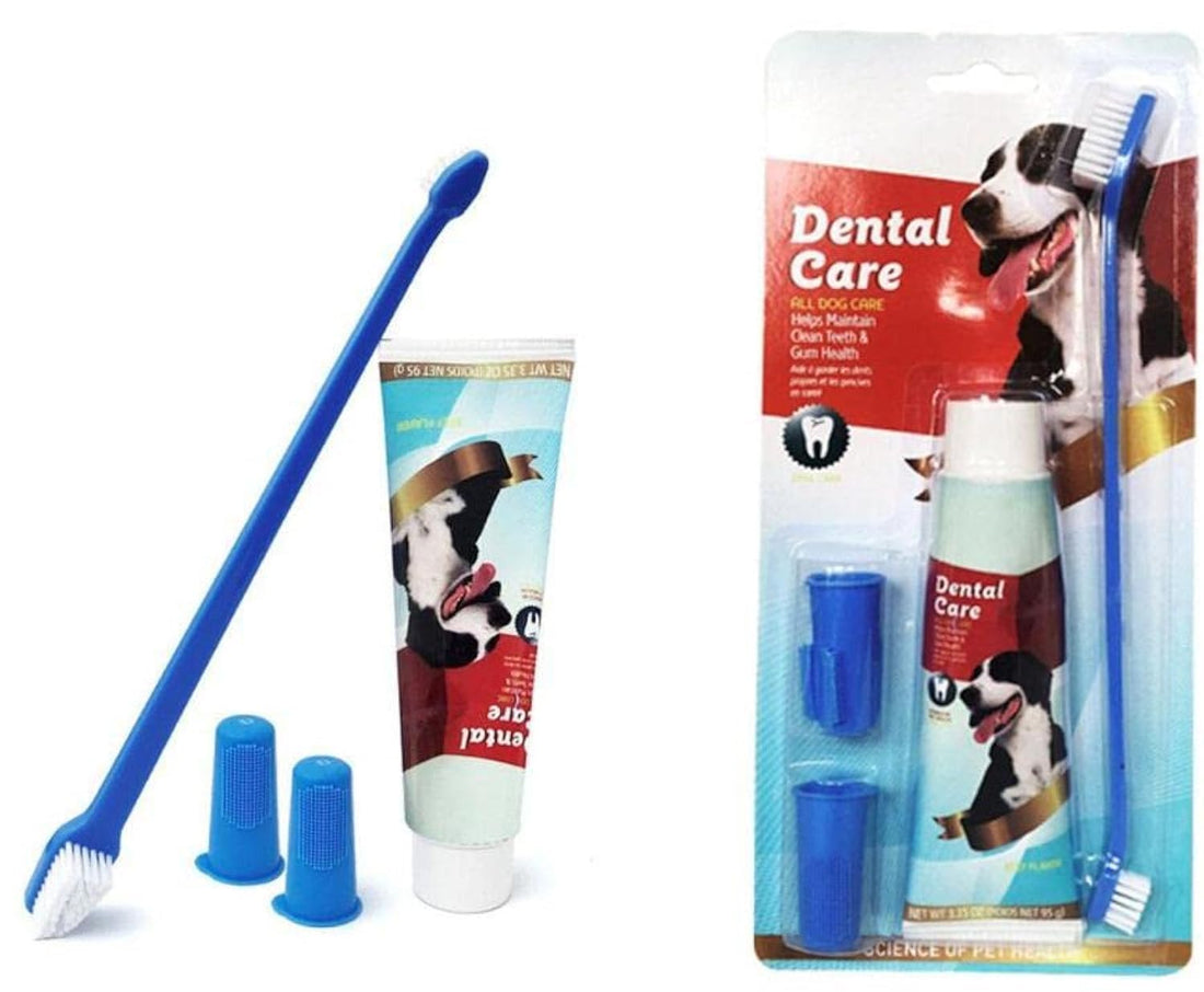 dental care for dogs 3p