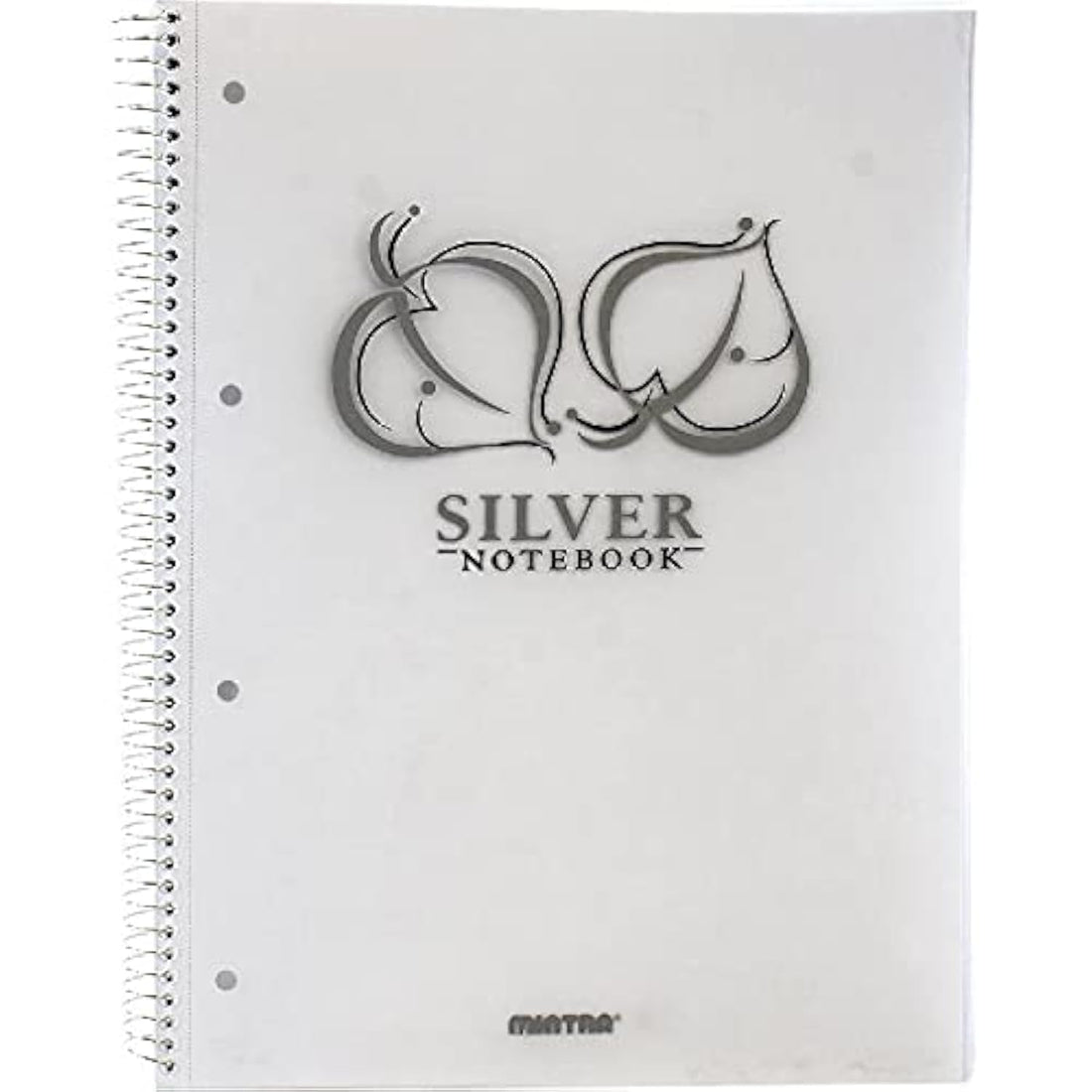 Mintra Wired 100 Papers Lined Plastic Cover A4 University Notebook, Golden/Silver