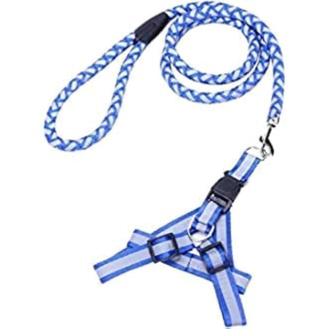 Medium Dog Leash and Vest - Fluorescent Blue