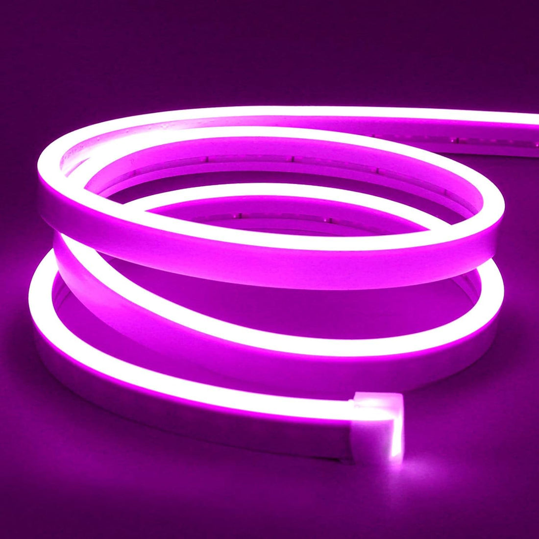 LED Neon Light Strip, 16.4ft Violet, 12V 0.39In/Cut Silicone Waterproof Rope Light, DIY Sign for Bedroom Indoor Outdoor Decoration + Adapter 12V 2A