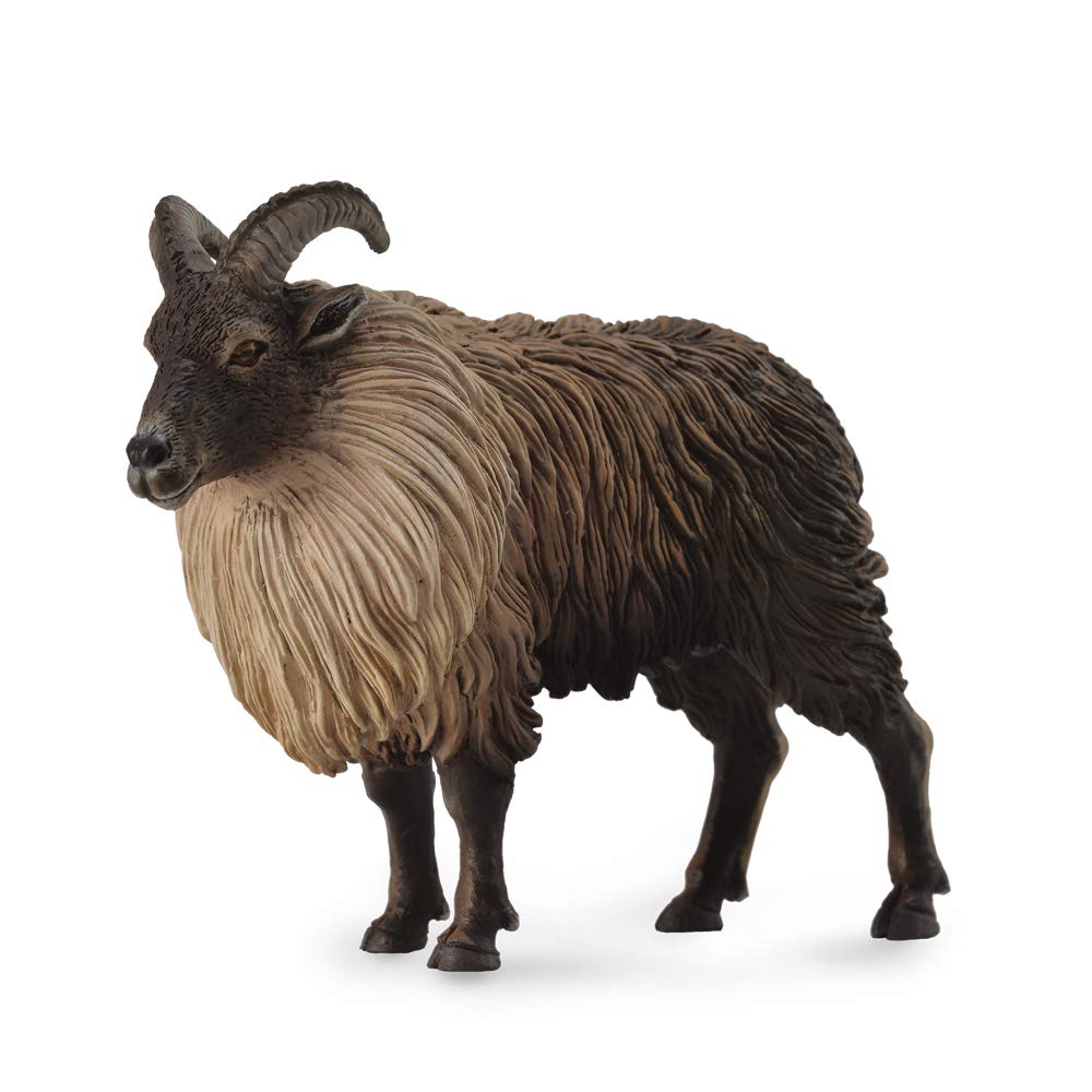 Collecta