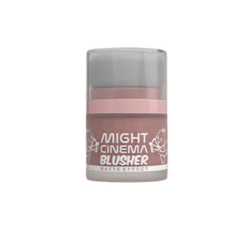 Face Blush Powder Makeup Soft Blush for Cheeks Long Lasting Makeup Powder - Matte Finish (101)