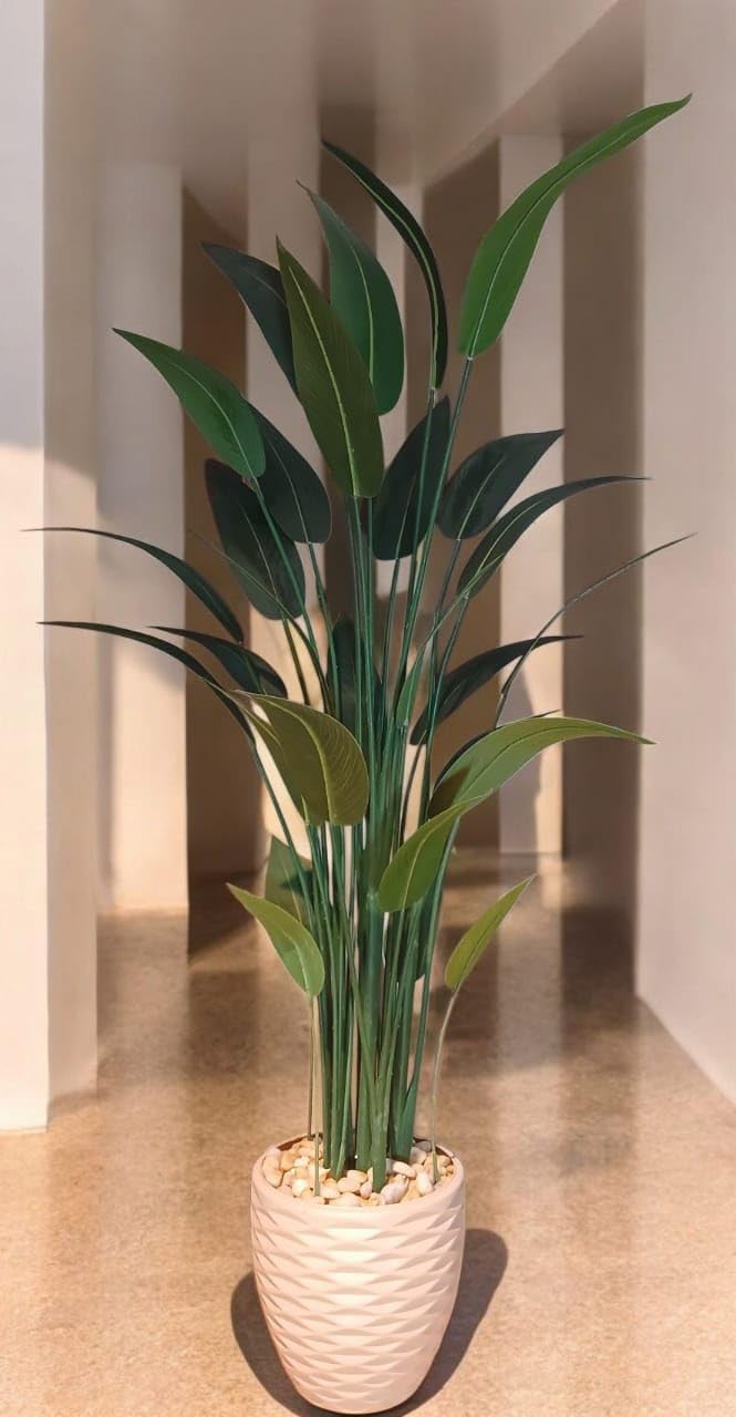 Artificial Banana Plant, Height 180cm, 28 Leaves, with Acrylic White Pot, for Home and Office Decoration