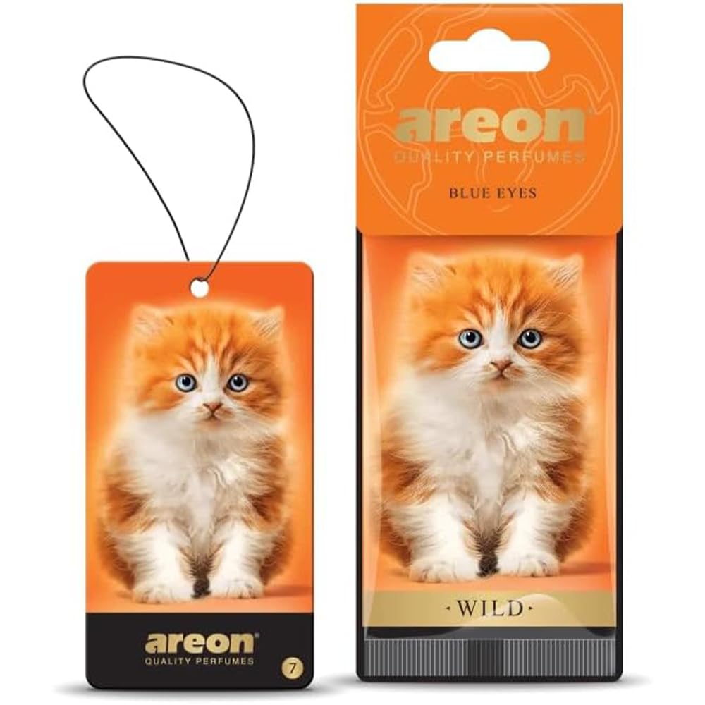 Areon Wild Car Air Freshener fragrance-inspired scents/Blue Eyes - Summer Dream Scent