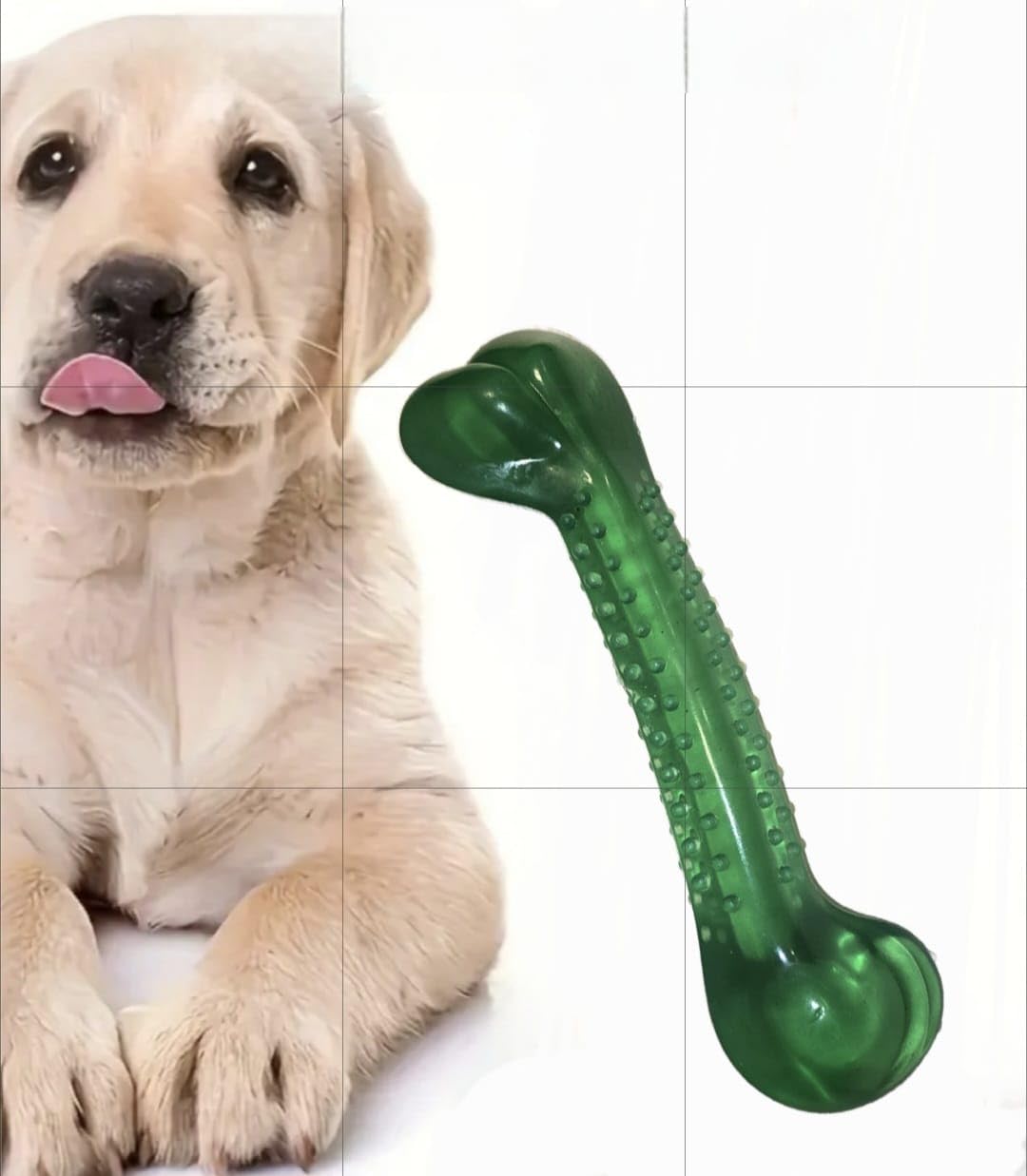 Bone Dog Toy Dog Teether (Green)