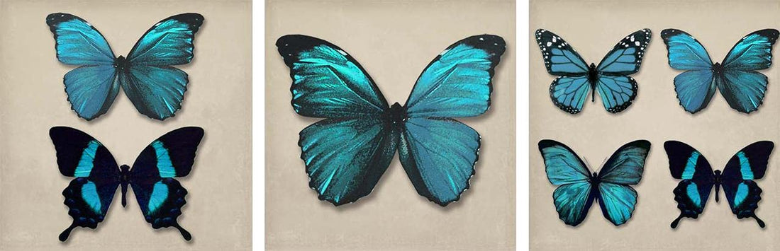 Kira 3 Frames Vinyl Print, Animals Tableau (25x25cm)