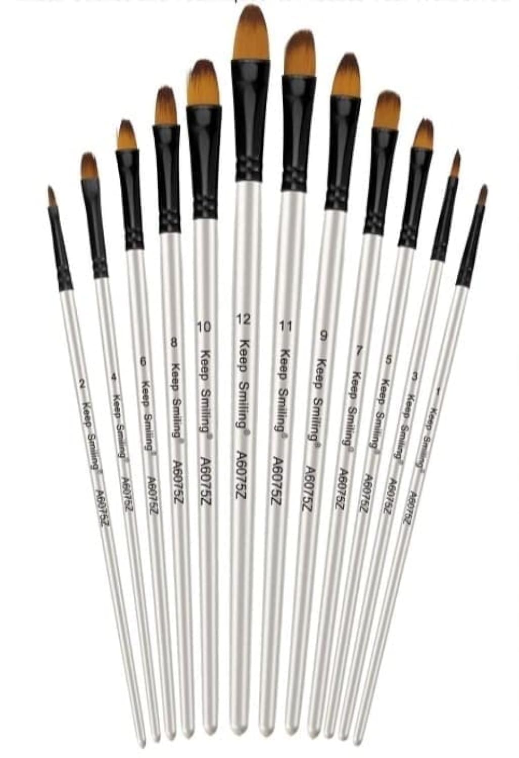 HS Keep Smiling Brush (Long Handel Filber Brush Set of 12)