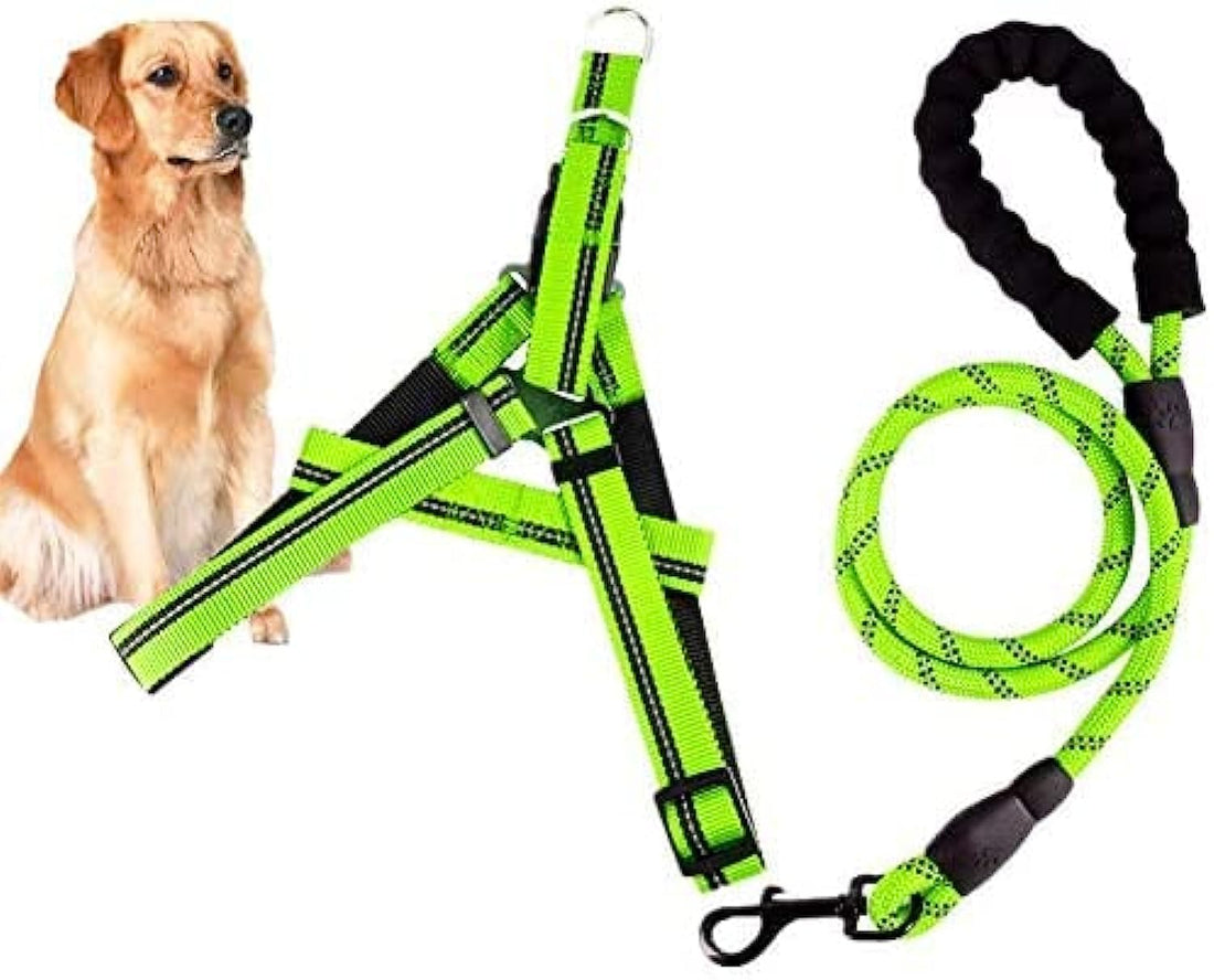 Light Green Dog Harness with Leash