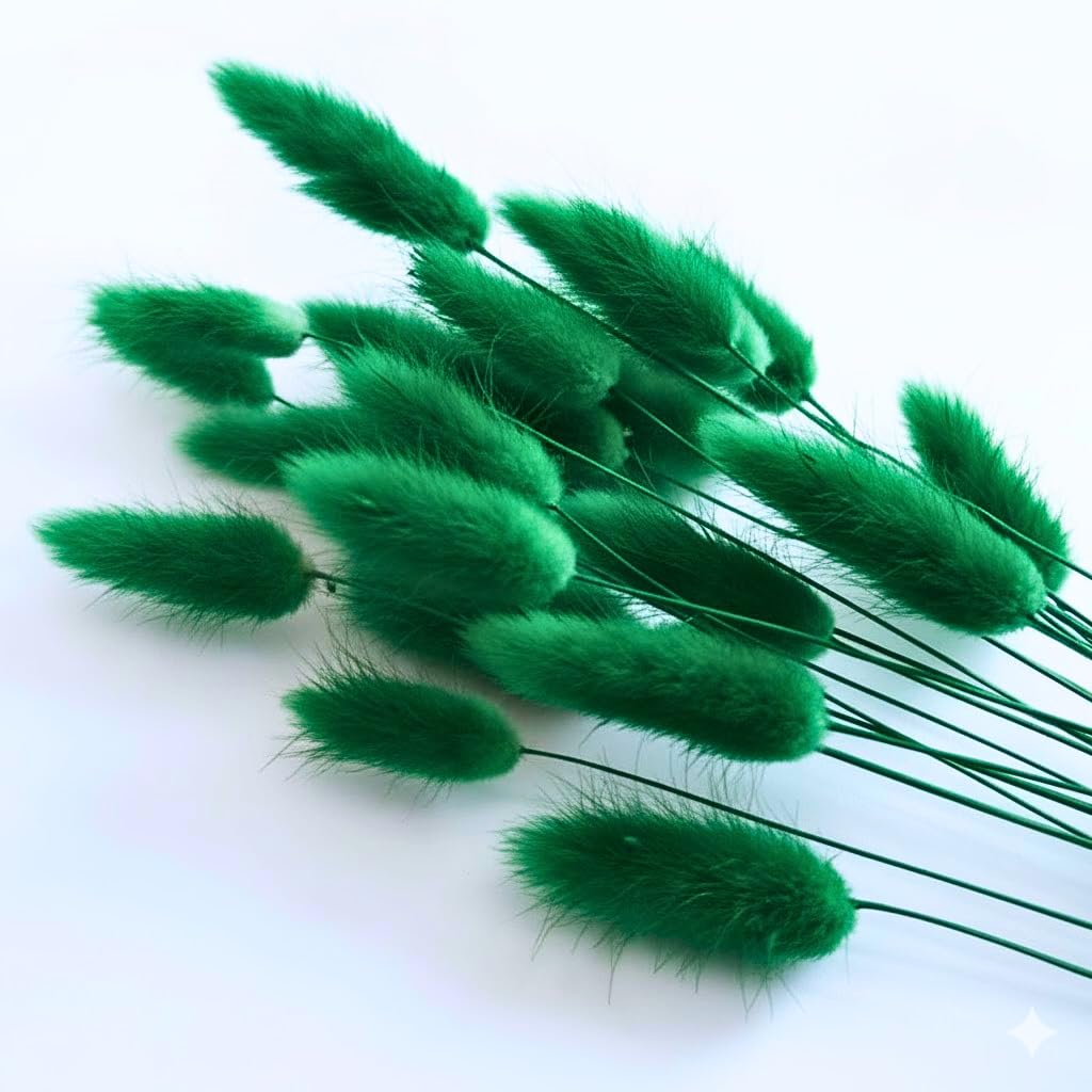 FANCY Natural Dried Lagurus Bunny Tails Grass, 30-50 cm, Decorative Pampas Bouquet for Home Decor (Boho Elegance, 60 Stems)