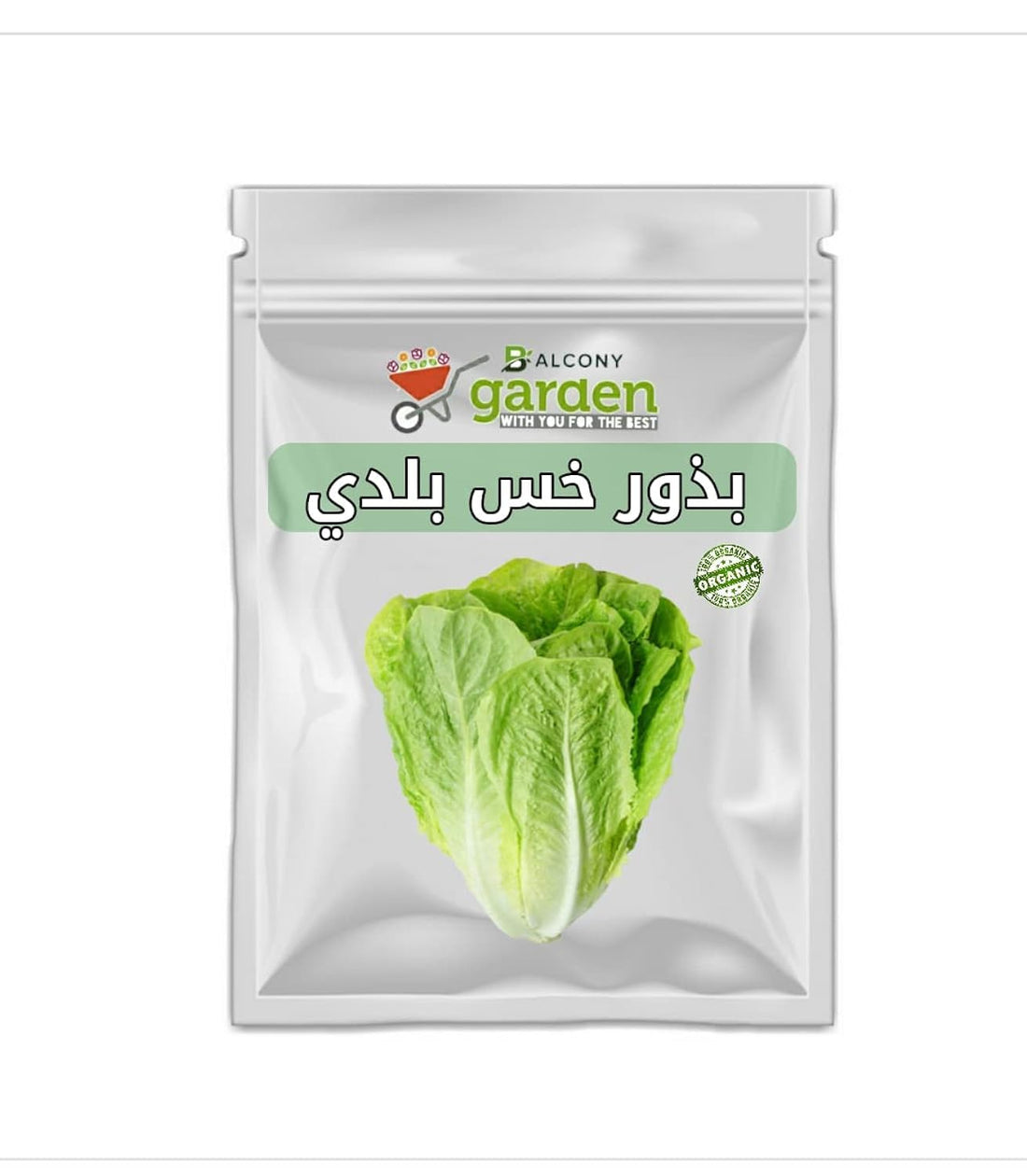 My Lettuce Seeds for Home Farming