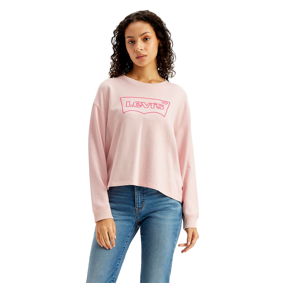Levi's womens BNG WT Mary LS Tee Sweatshirt (pack of 1)