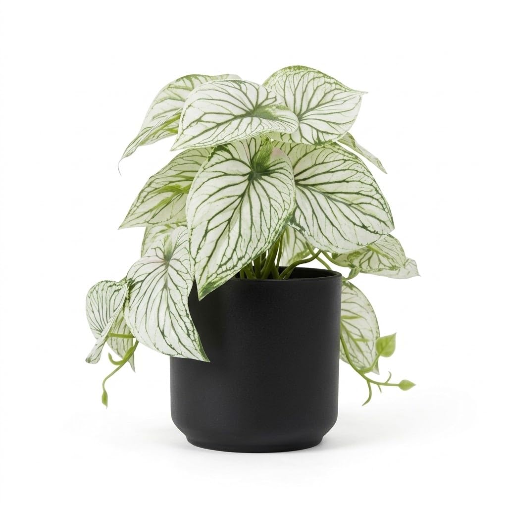 Next Store Artificial Plant with White "Calatium" Leaves and Green Veins, Premium "Matt" Black Decorative Pot, Realistic Artificial Plant to Add Brightness and Freshness for Home Office