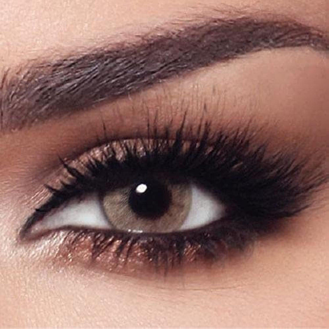 Bella Colored Lenses - Daily - Hazel Beige -4.50