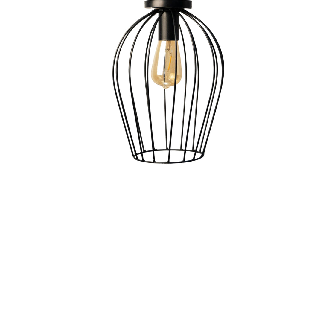 Black Lotus Model Ceiling Ligting Unit
