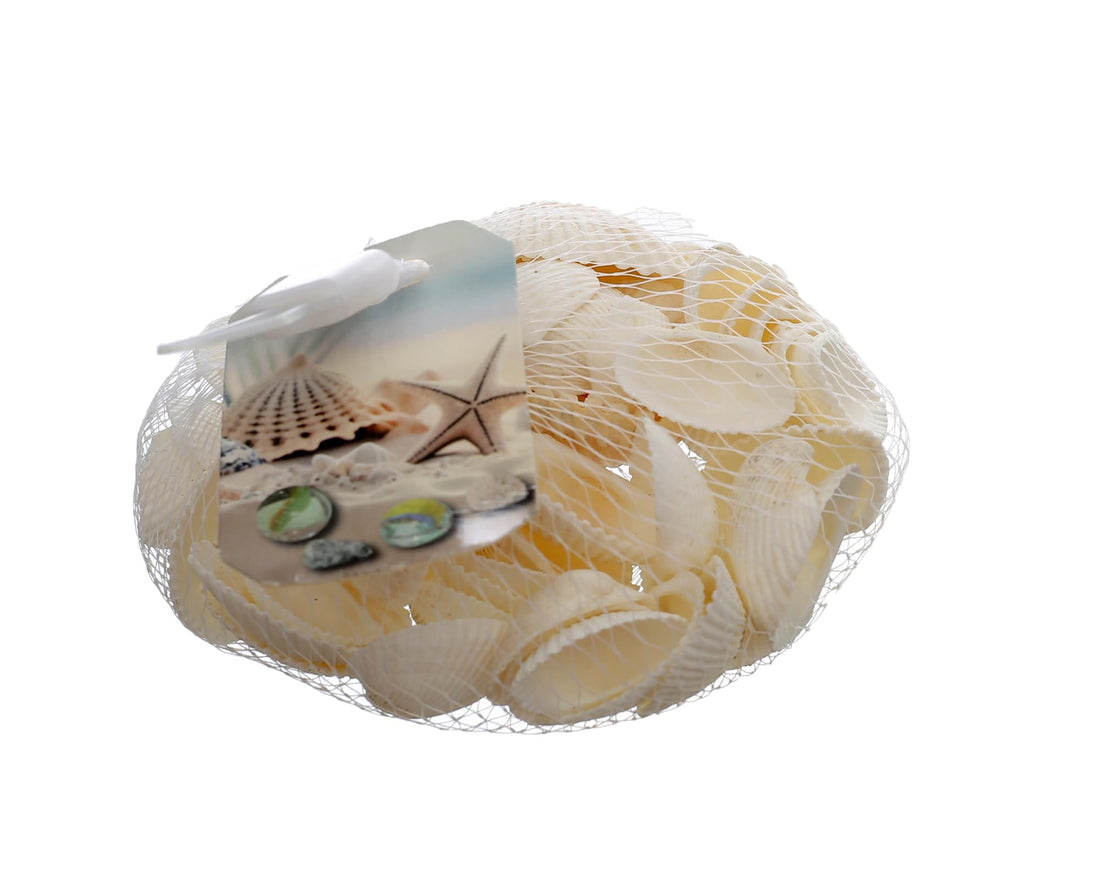 Elmaayergy SEA-5 Decorative Ocean Seashells, Premium Materials Ensure Durability And Professional Finish - Multi Colour