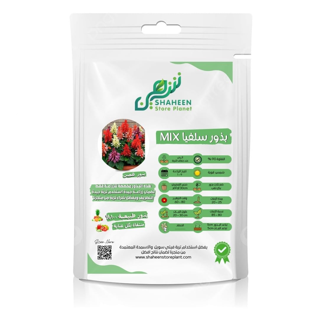 Salvia Mix Seeds, 90% Germination, Colorful Flowers,