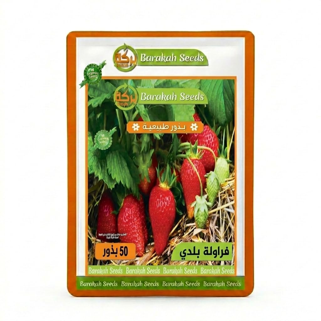 Imported Natural Seeds for Plant (Strawberry)