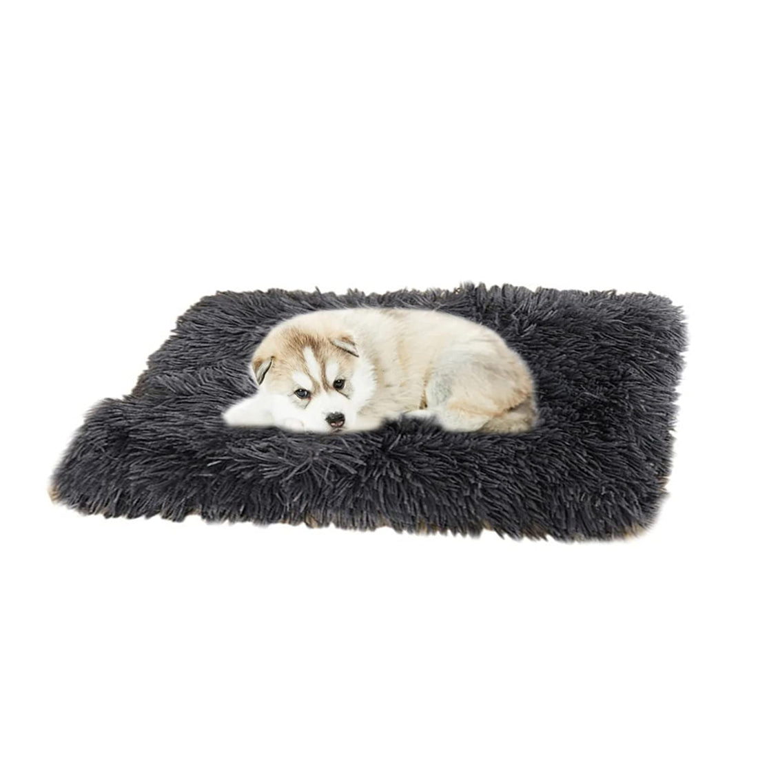 Warm Fleece Dog Puppy Blankets Fur Premium Quality Anti-Anxiety Pet Blankets Soft Fuzzy Microfibe Cat Throw Bed Couch Washable Dark Gray
