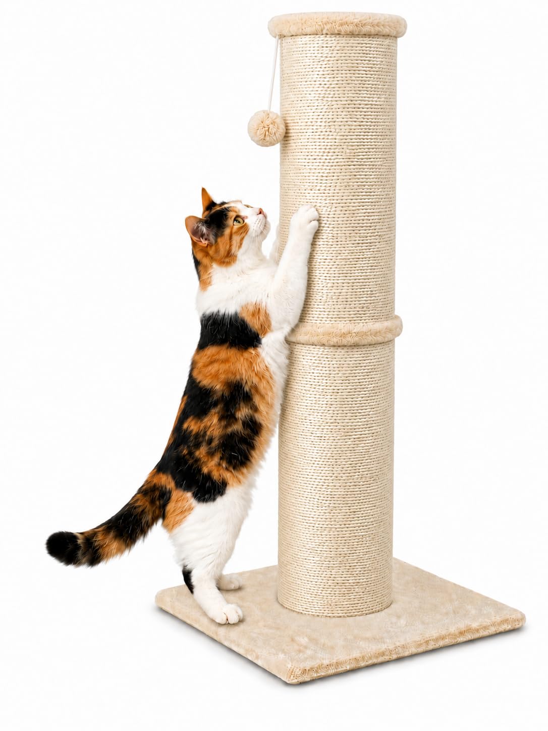 PAWSCRAT Cat Scratching Post, 32 Inch High, 5.5 Inch Large Diameter Natural Sisal, Indoor, Protect Your Furniture, Beige