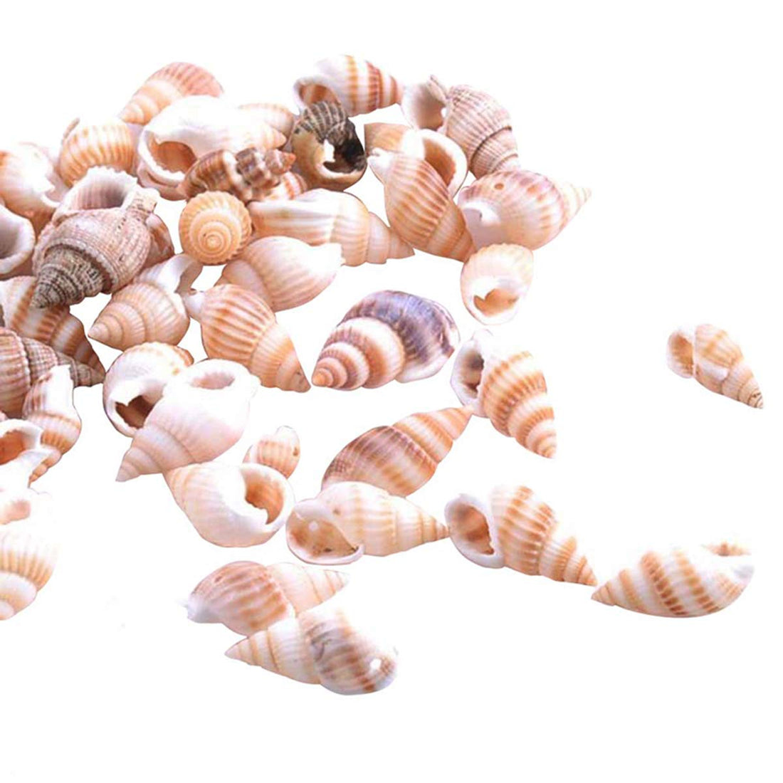 Small Sea Shells about 100pcs Spiral Seashells Ocean Beach Natural Conches Decoration for Fish Tank Aquarium Candle Making DIY Arts Crafts