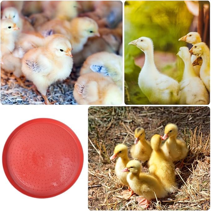 Chicken Feeder Trough, Red Poultry Feeding Tray with Textured Surface, Easy to Clean Fodder Plate for Chicks, Poultry and backyard wild birds