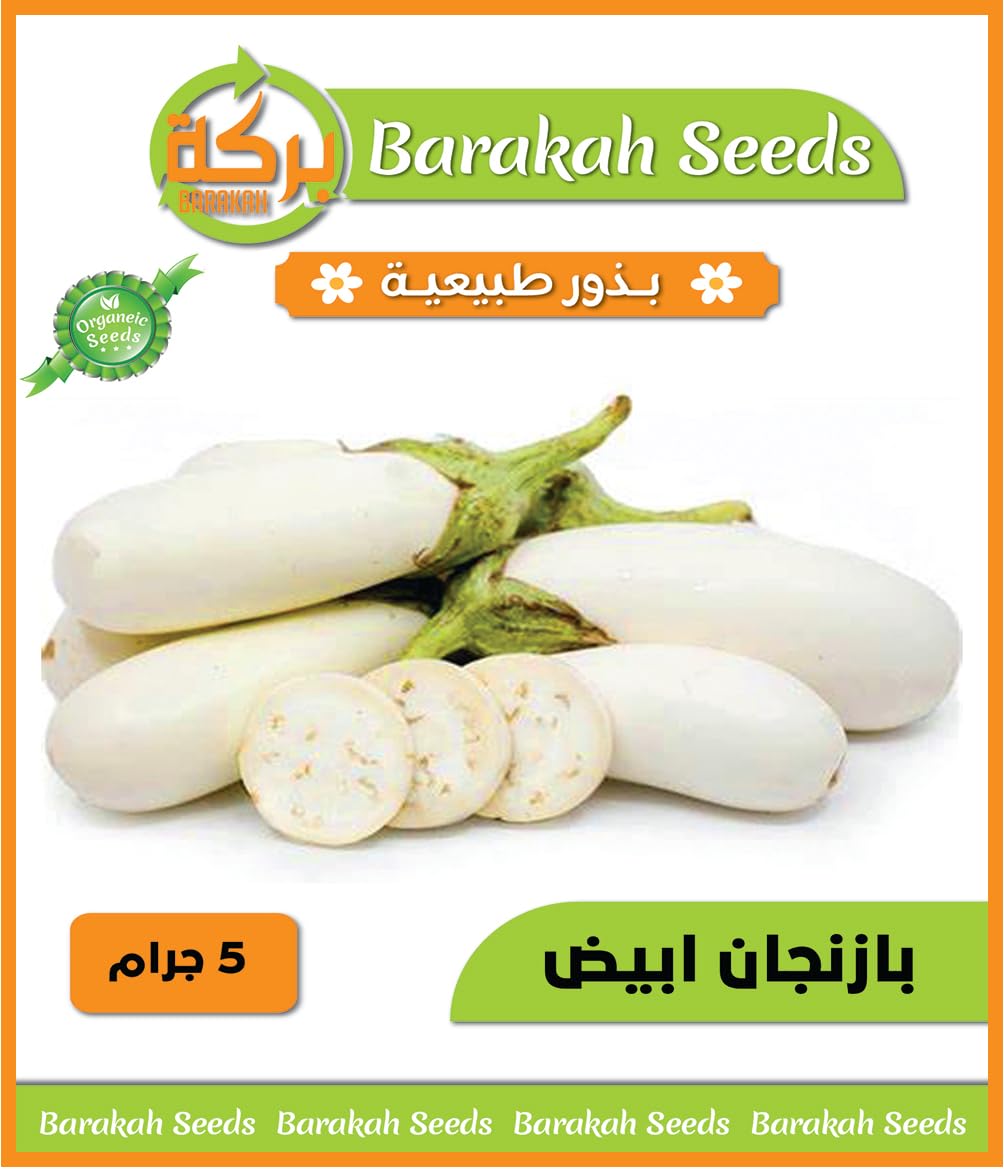 High Germination Vegetable Seeds for Plant (Bazangan Arnus White, Organic, 1)