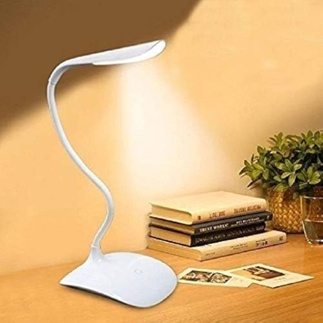 LALEY Rechargeable Led Desk Lamp Touch Control On/Off Student Study Table Lamps Night Lamp for Children Eye Protection Lamp for Study Room (White)