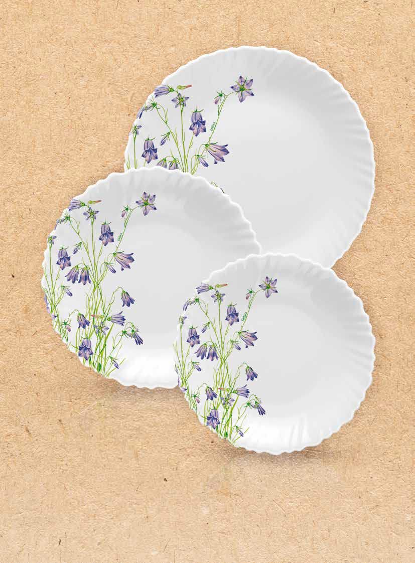Endura finnegan set of 18 pieces of dinner plates suitable for home and restaurant - multi colour