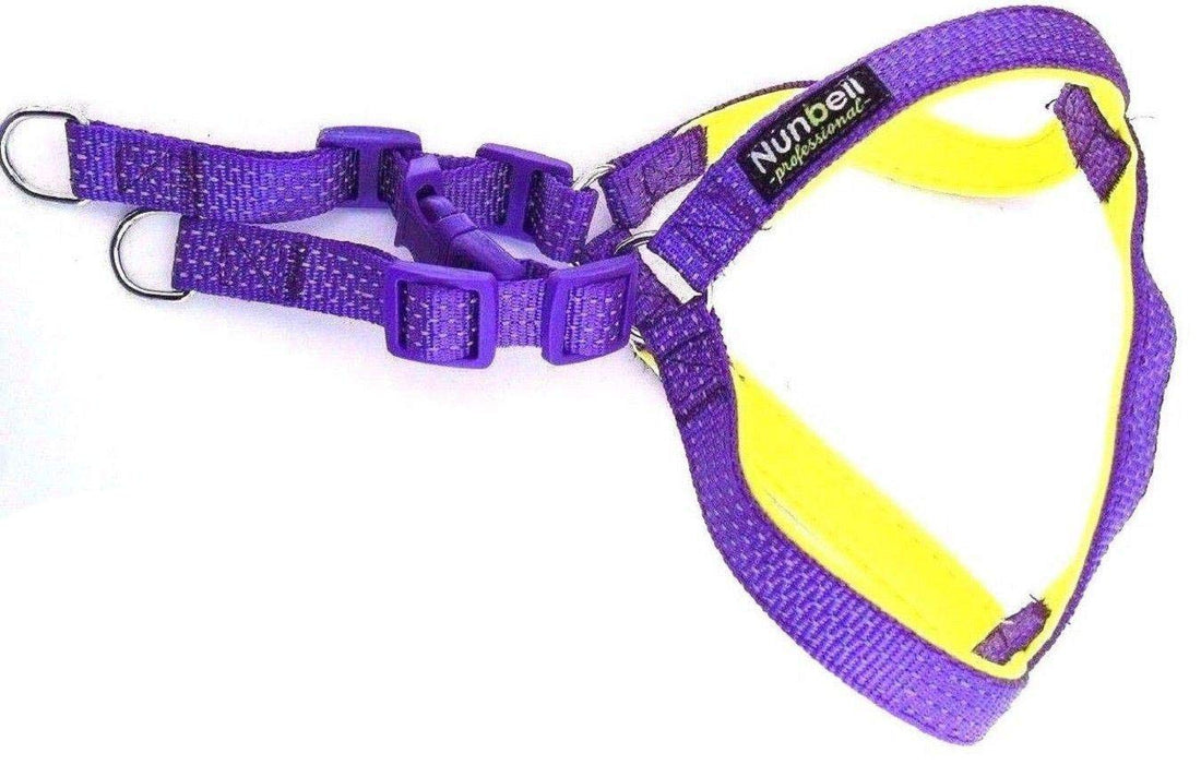 nunbell Lead and Harness Set for Small and Medium Size Dogs, 25 cm. Diameter: At least up to 30 cm adjustable, Classic Lead and Harness, Purple and Yellow Neon Soft Lining