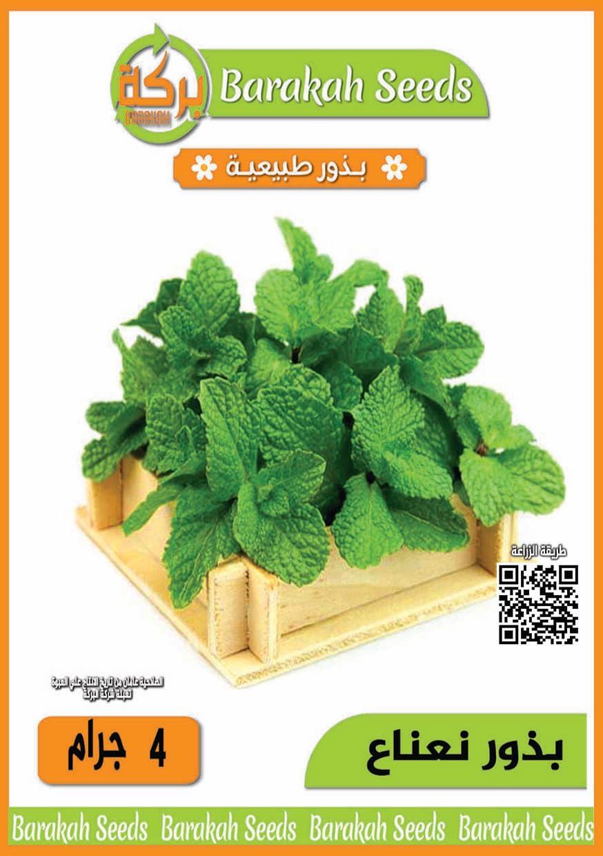 High Germination Seeds for Herb (Mint)