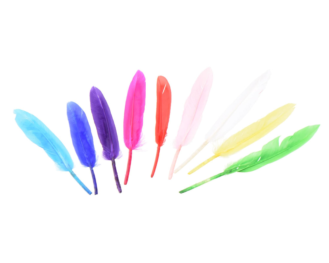 Elmaayergy E-247 / L-1090 Set Of 10 Pieces Of Feathers Suitable For classroom, Homeschooling, And Individual Study Environments