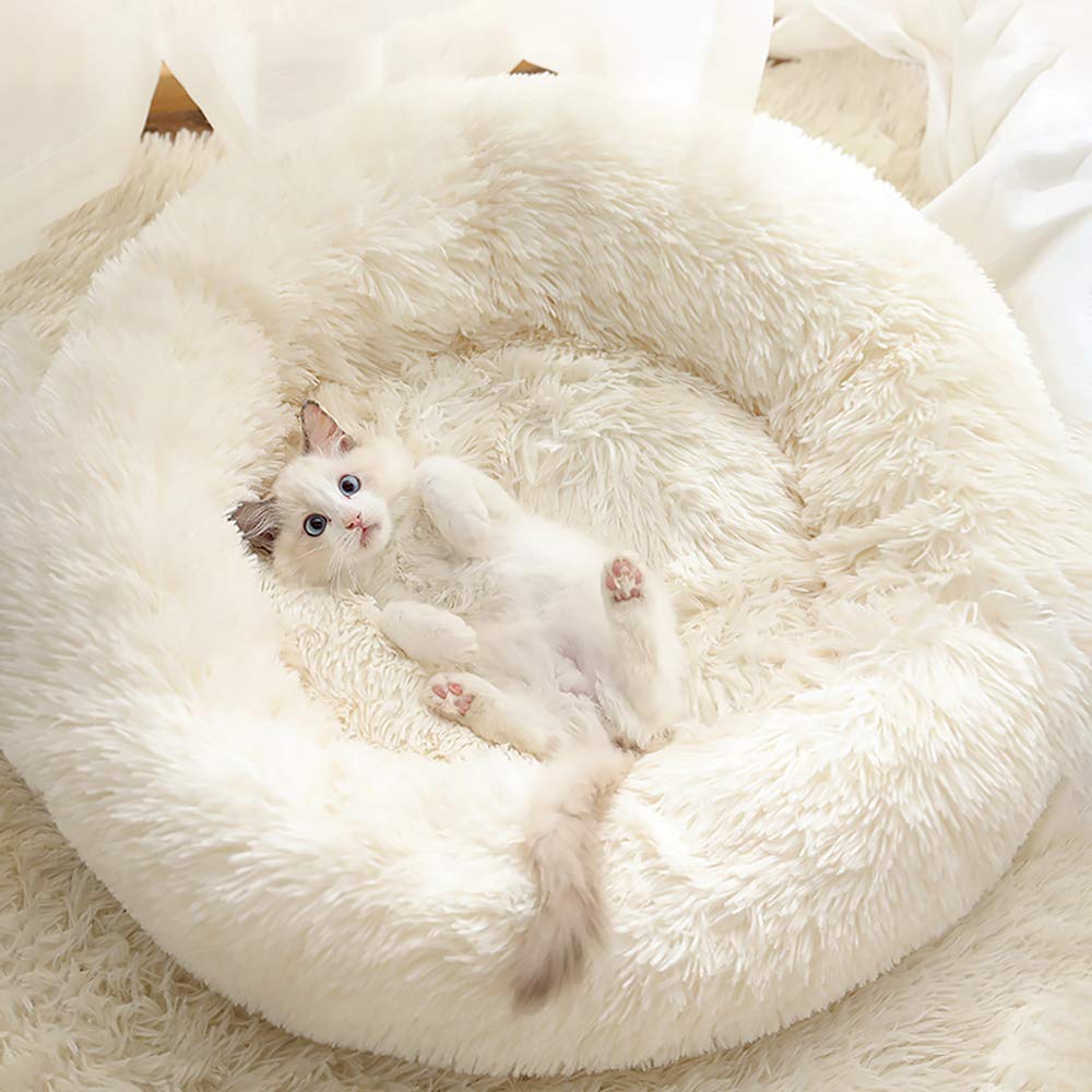 TOMVAES Dog Cat Bed, Soft Plush Pet Cushion,Super Soft Rabbit Velvet Nest,Cat Bed with Machine Washable, Waterproof Bottom ,Improved Sleep for Cats Small Medium Dogs(Beige)