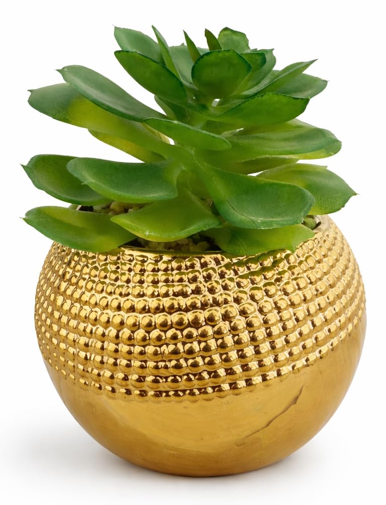 Premium Artificial Cactus Plant in Gold Pot – Modern Home & Office Decor, 10cm Diameter, Suitable for Table, Shelf, Desk, Bathroom, Kitchen, Natural and Elegant Shape for Decorative Plants (Gold)