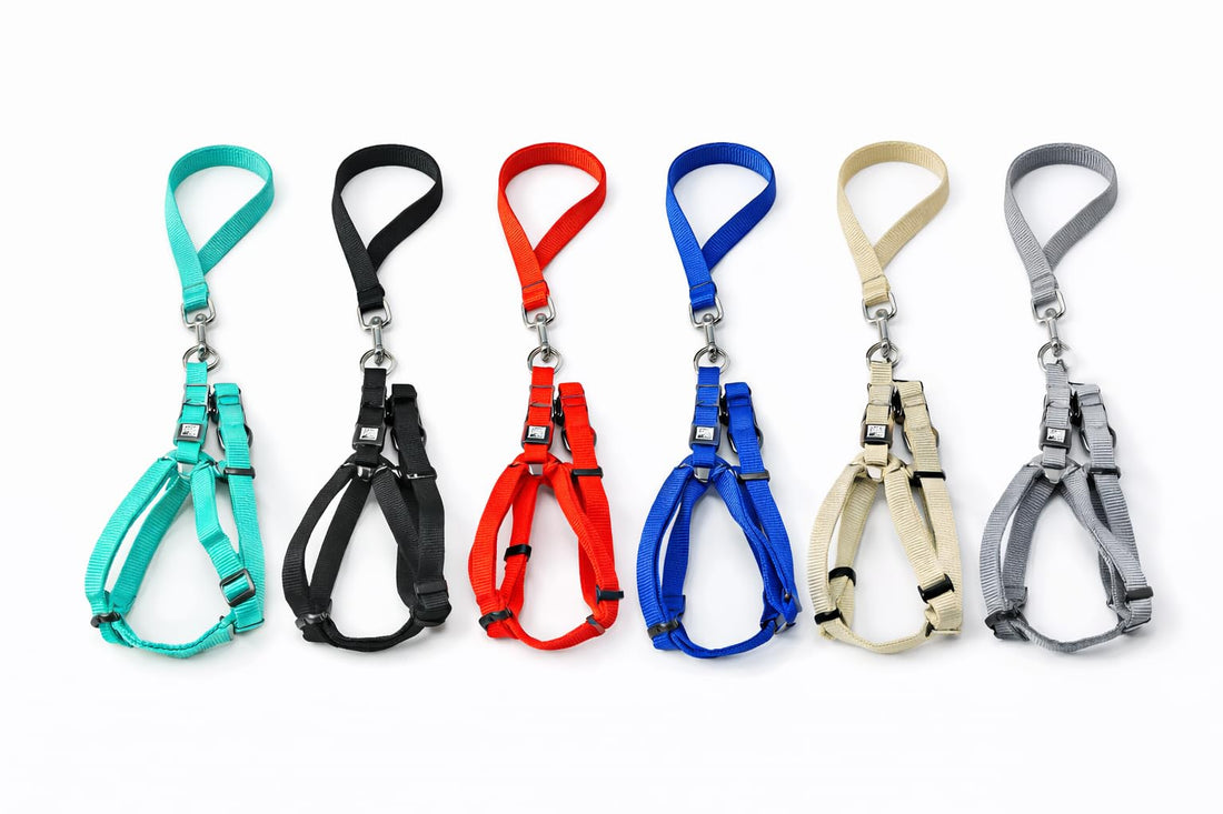 Nunbell Dog Harness and Leash Set, Adjustable Step-in Design, 2.5x120cm Leash, 45-80cm Harness,15-30KG, Available in 6 Colours (Black)