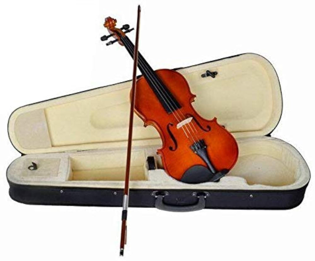 Shelter Violin All Accessories