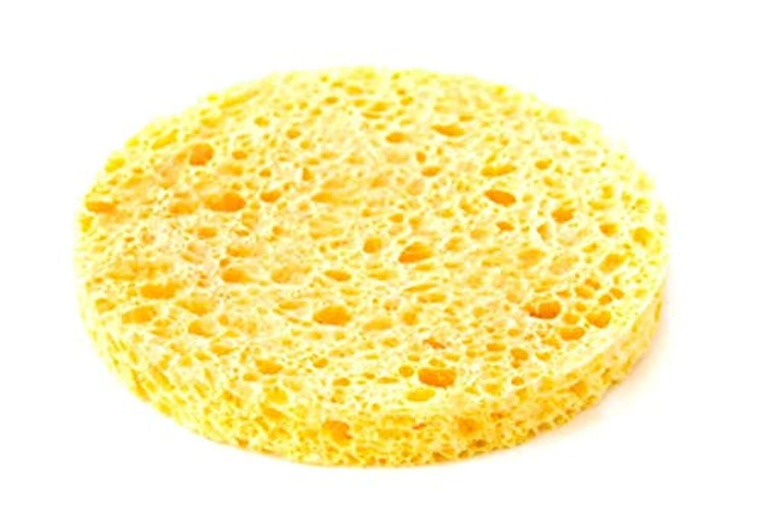 Other Soldering Iron Sponge - Ideal For Tip Cleaning, 1 Count