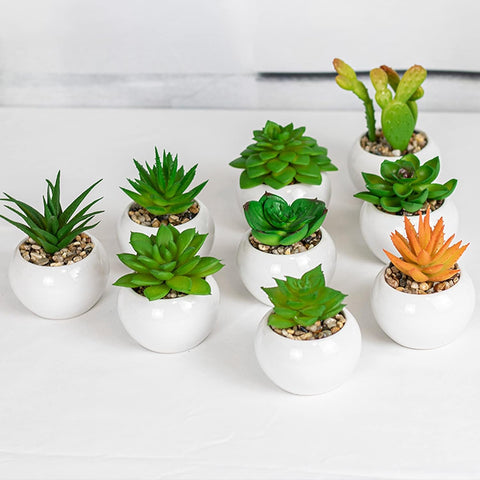 Artificial Plants in Random Shapes in Elegant Pots, Small Fake Plants for Tables, Desks, Screens, Perfect for Indoor and Outdoor Decoration – FASHION.HOME Best Supplier