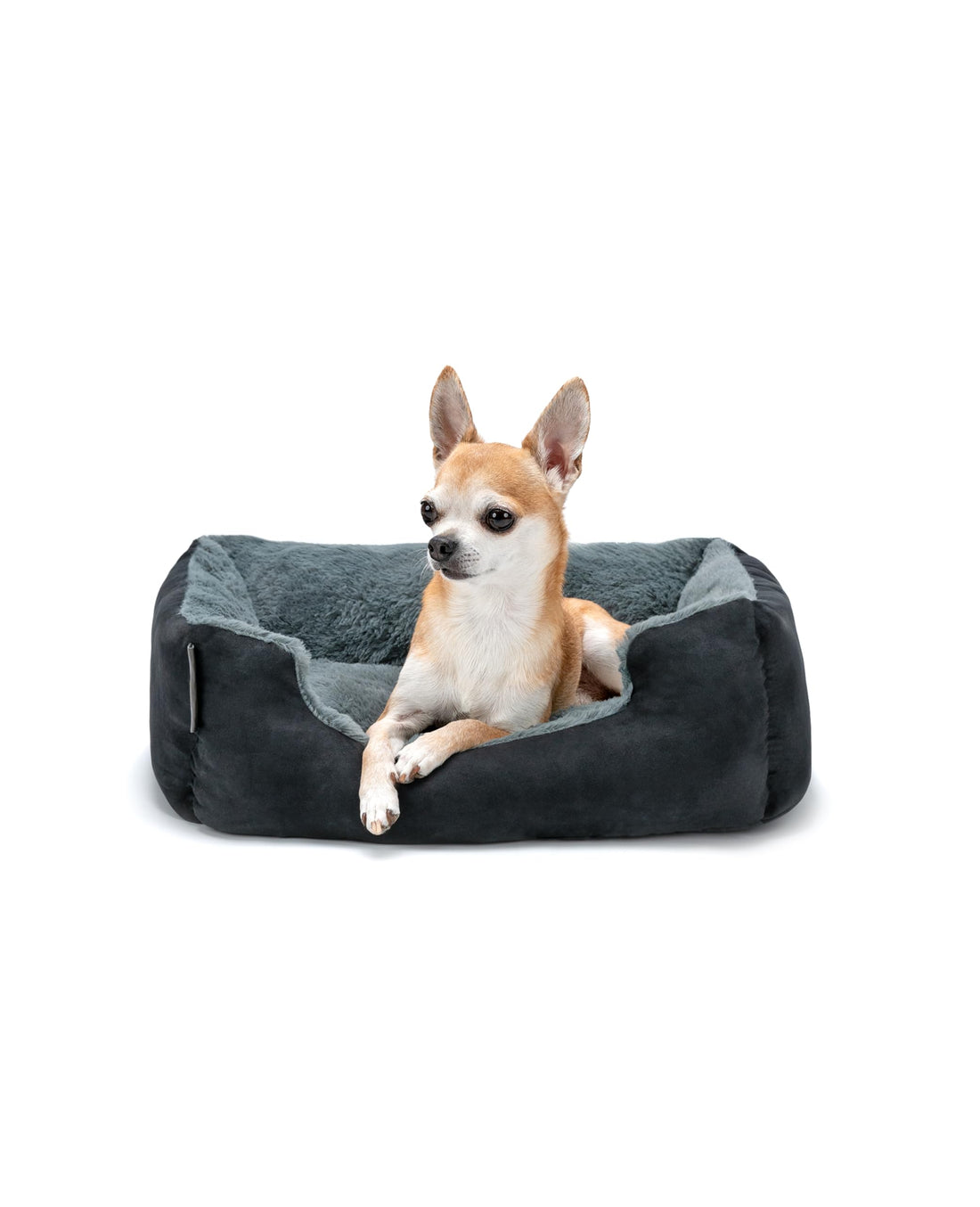 lionto dibea Dog Bed with Reversible Cushion, (S) 50 x 37 cm, Grey/Black