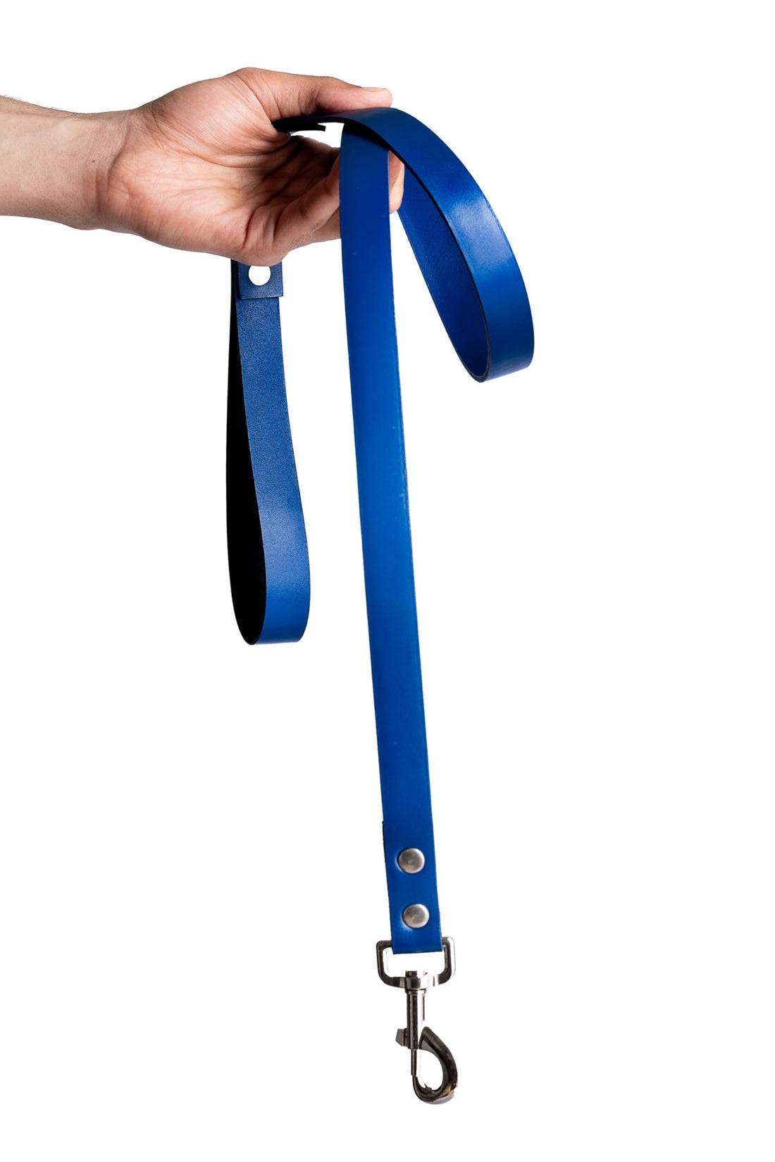 PAWPAW Leather Pawflex Dog Leash Blue