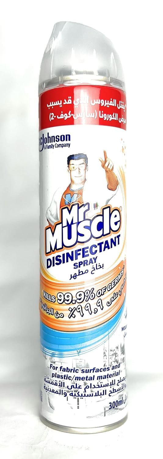 Mr. Muscle Disinfectant Aerosol ââ‚¬â€œ Mountain Fresh
