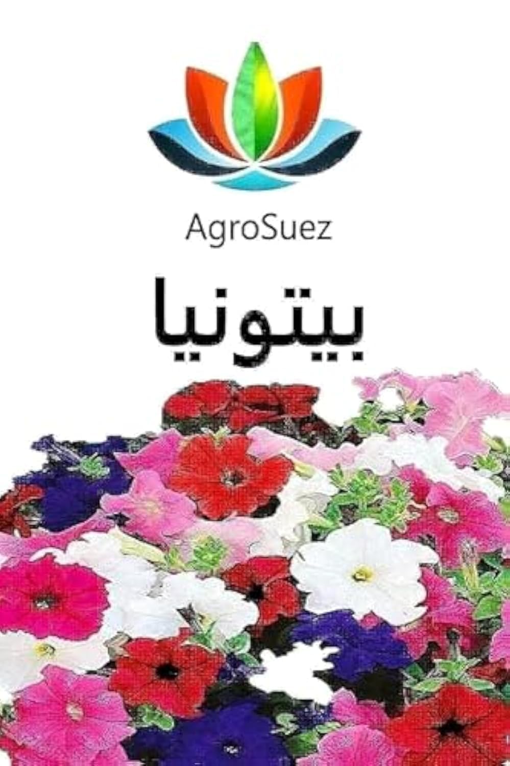 Agrosuez Patonia Flower Seeds