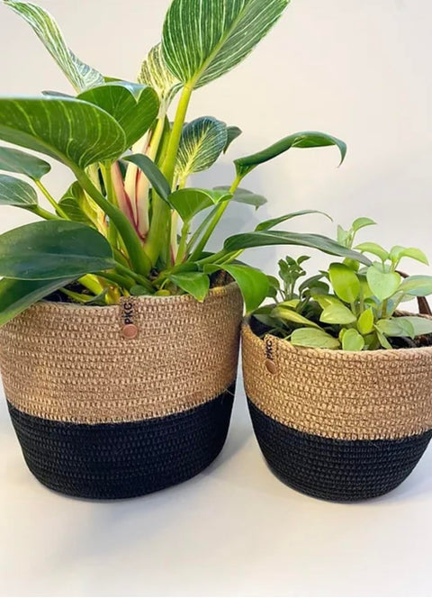 Woven It Woven Jute Plant Pot For Indoor & Outdoor Plants,(15×20×15Cm) Can be used in Kitchen, Toilet, Living Room, Dining Room, Bed Room, Kids Room, Indoor & outdoor.