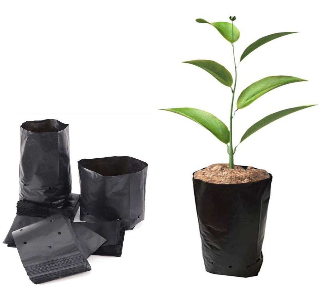 100Pcs Thickened Plastic Nursery Bags for Plants Fruit and Flower Seedling Planting Bags, PE Plant Grow Bags Seedling Pots Eco-Friendly Garden With Breathable Holes 12x25cm(DxH)