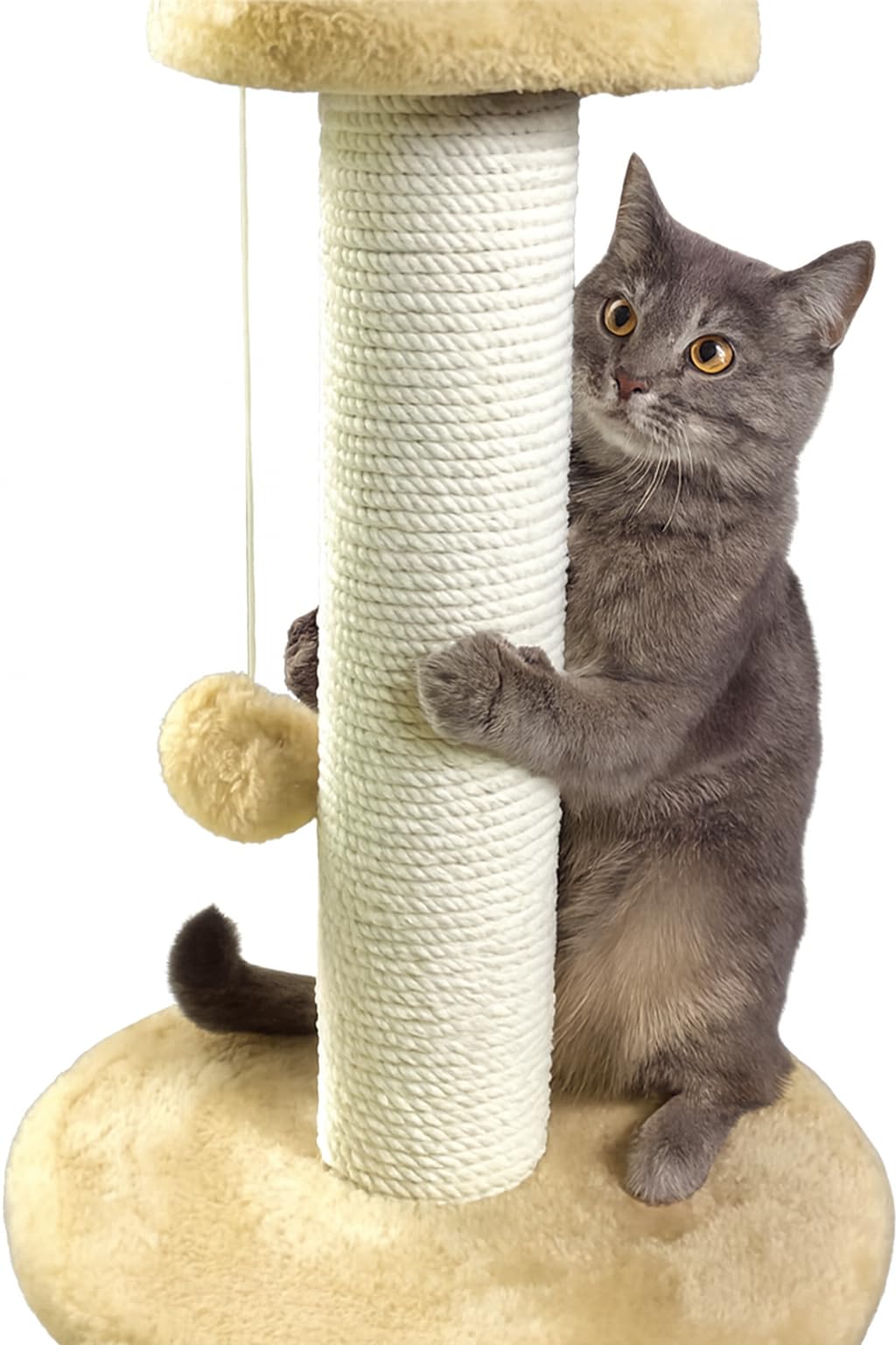 Pets House & Care Cat Scratching Post with Sisal Rope, Hanging Ball & Carpeted Base – Tall Kitty Tree Activity Center for Adult Cats, Durable & Easy to Assemble – 38x28cm (beige and White)