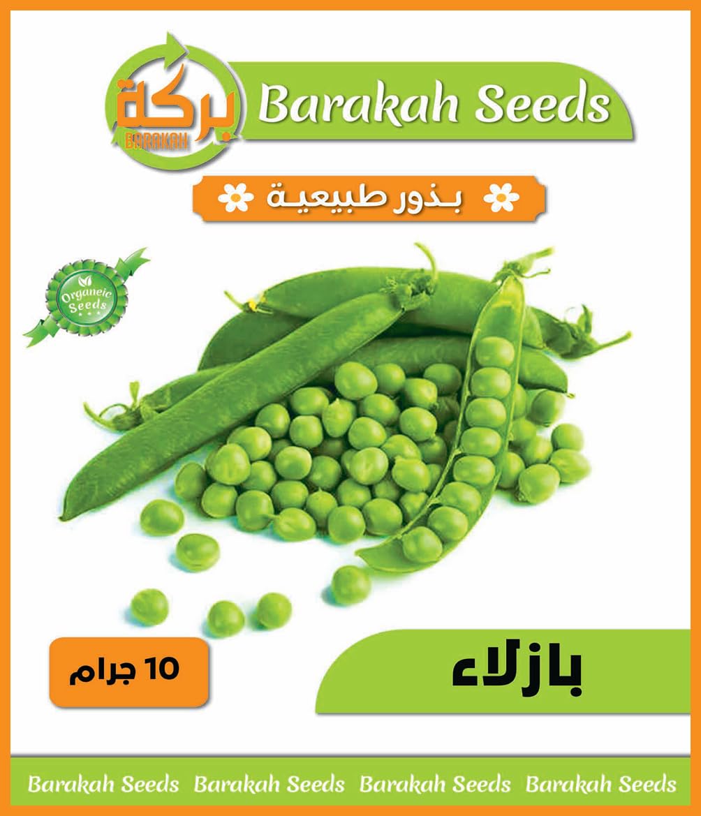 High Germination Vegetable Seeds for Plant (Peas, Organic, 1)