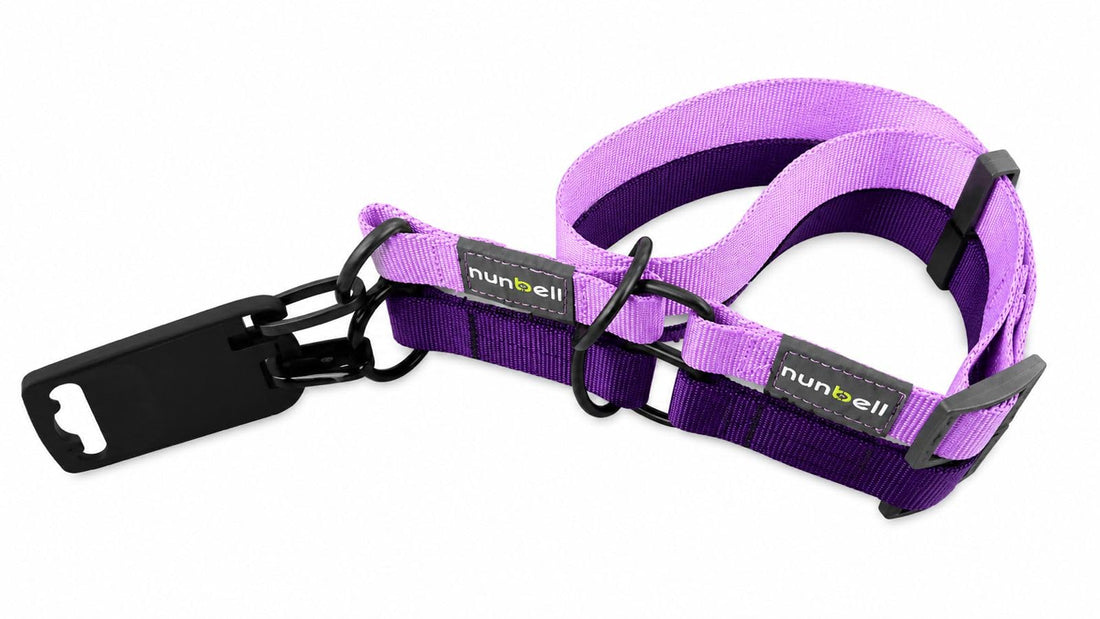 Nunbell Dog Collar, Purple, Nylon, Adjustable with Quick Release Buckle, Medium, Durable Training Collar