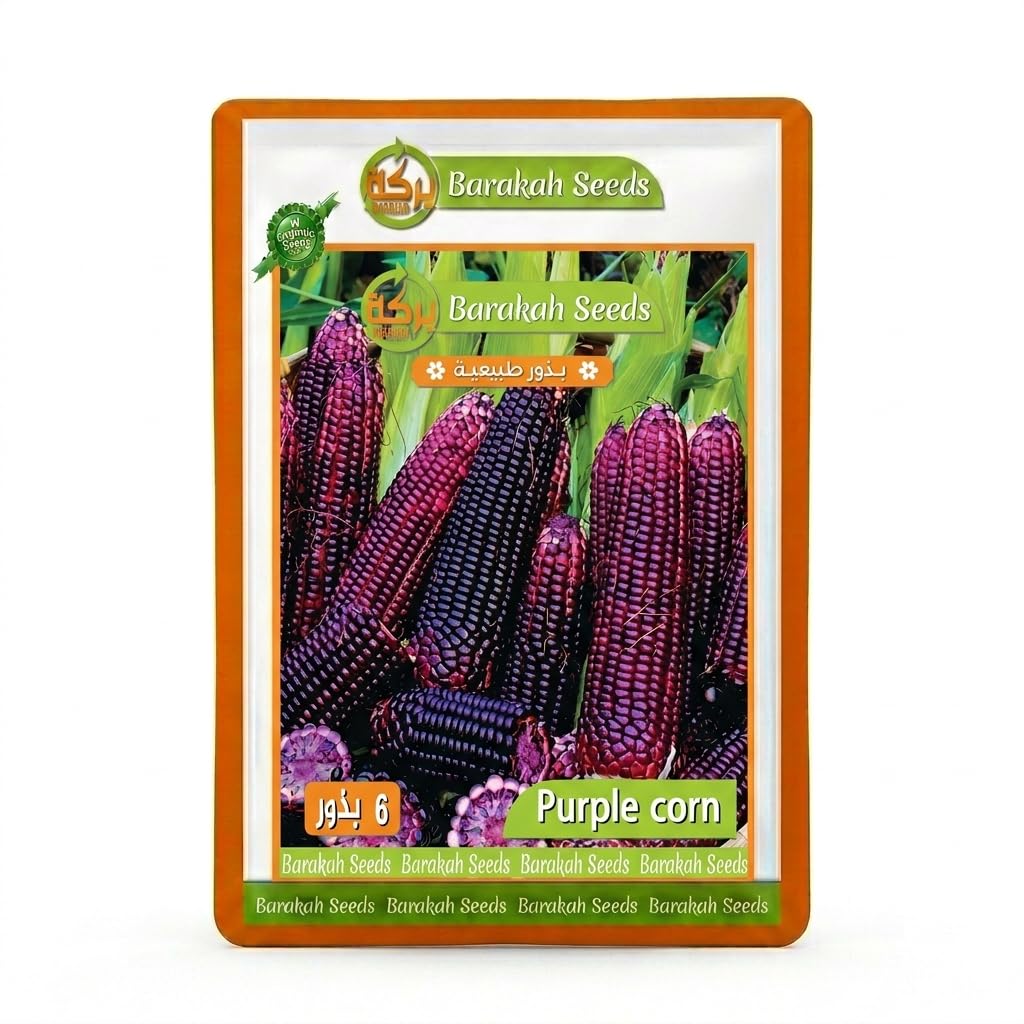 Corn Seeds (100% Organic Sweet Purple)